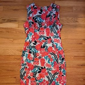 Calvin Klein Size 8 Floral Dress